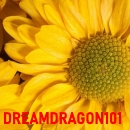 DreamDragon101's Avatar